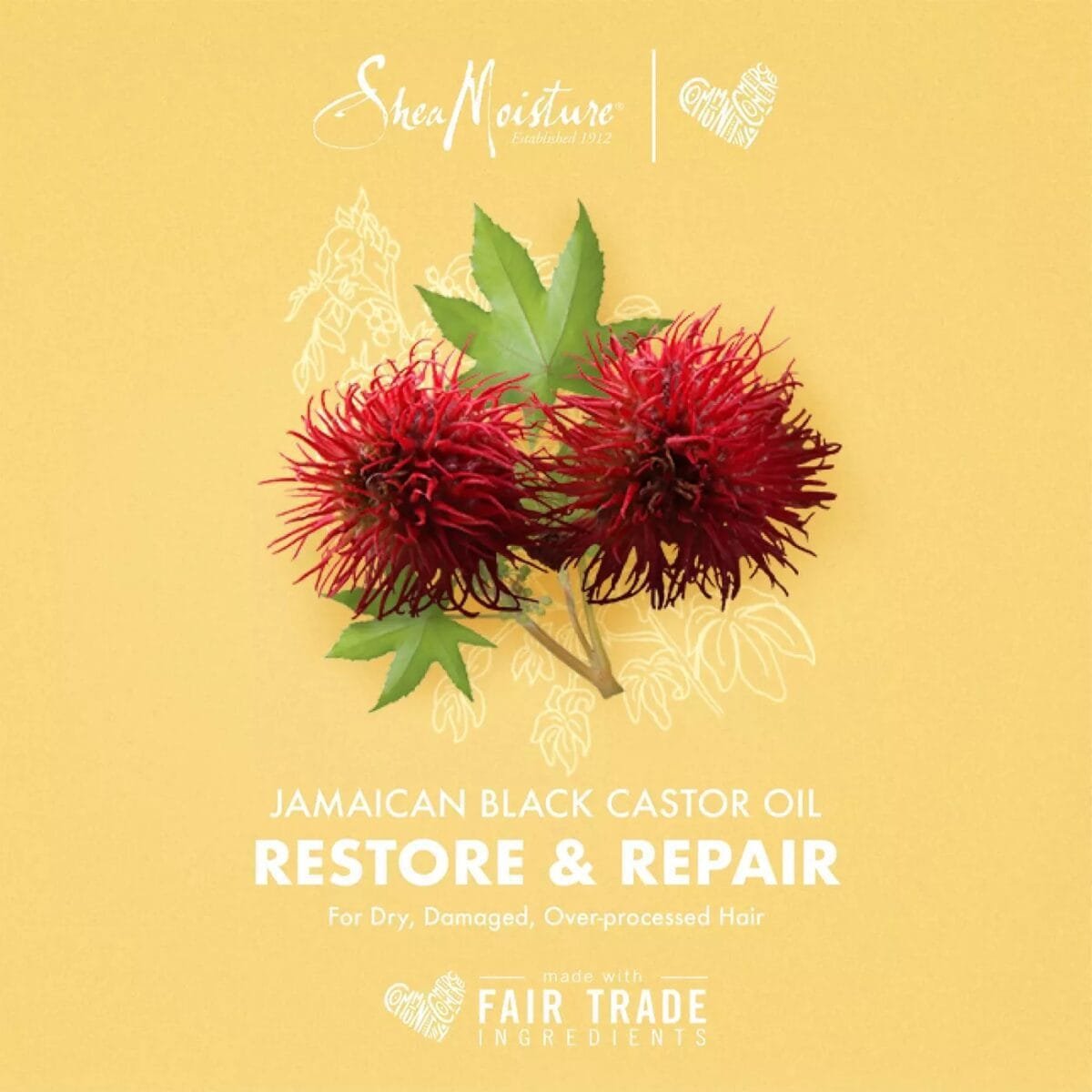⁦SheaMoisture, Jamaican Black Castor Oil Strengthen & Restore Shampoo – Repair and Strengthen Damaged Hair⁩ - الصورة ⁦2⁩
